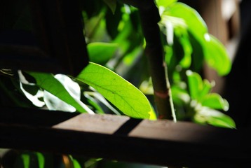 柔软时光