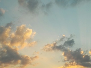 1008517