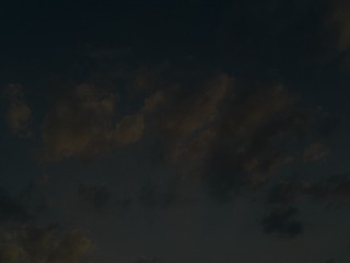 1008516