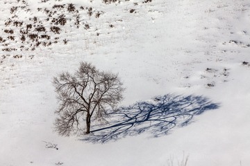 乌兰布统坝上草原冬季冰雪风光  105