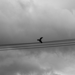 8BF07158-E9B5-44D5-9EFB-982B211A45B3/L0/001