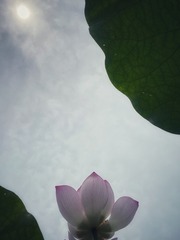 9933EFA4-7F1F-4AC4-B259-DB650CDF31B3/L0/001