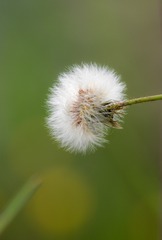 05363E8A-6C38-470F-B0D3-C8897EF71500/L0/001