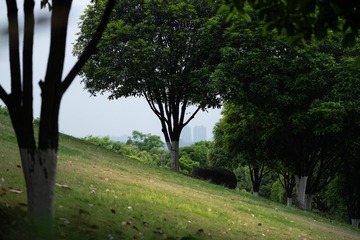 B21677F6-8EC2-4221-A127-A4FB46E89117/L0/001