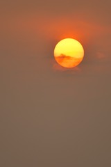 95E69764-D53B-4990-A816-67CA3A0ED2CA