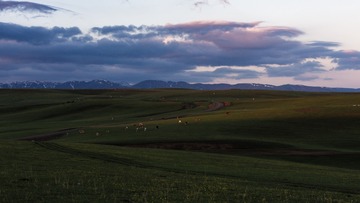 618184
