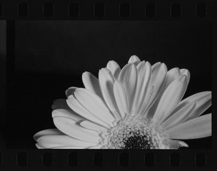 CD559DC8-A76F-40C4-8C2A-49F3A057706B/L0/001