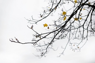 38FAFC60-5029-45A8-A72E-F2F4AA335153/L0/001