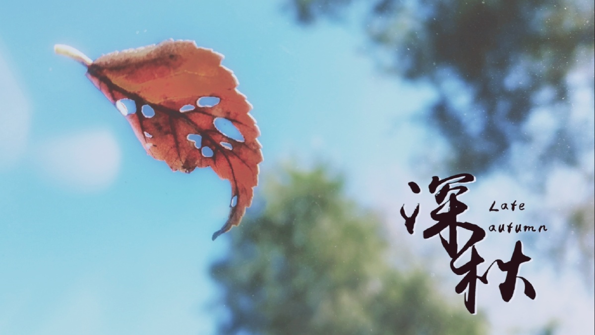 秋至深时假期已尽