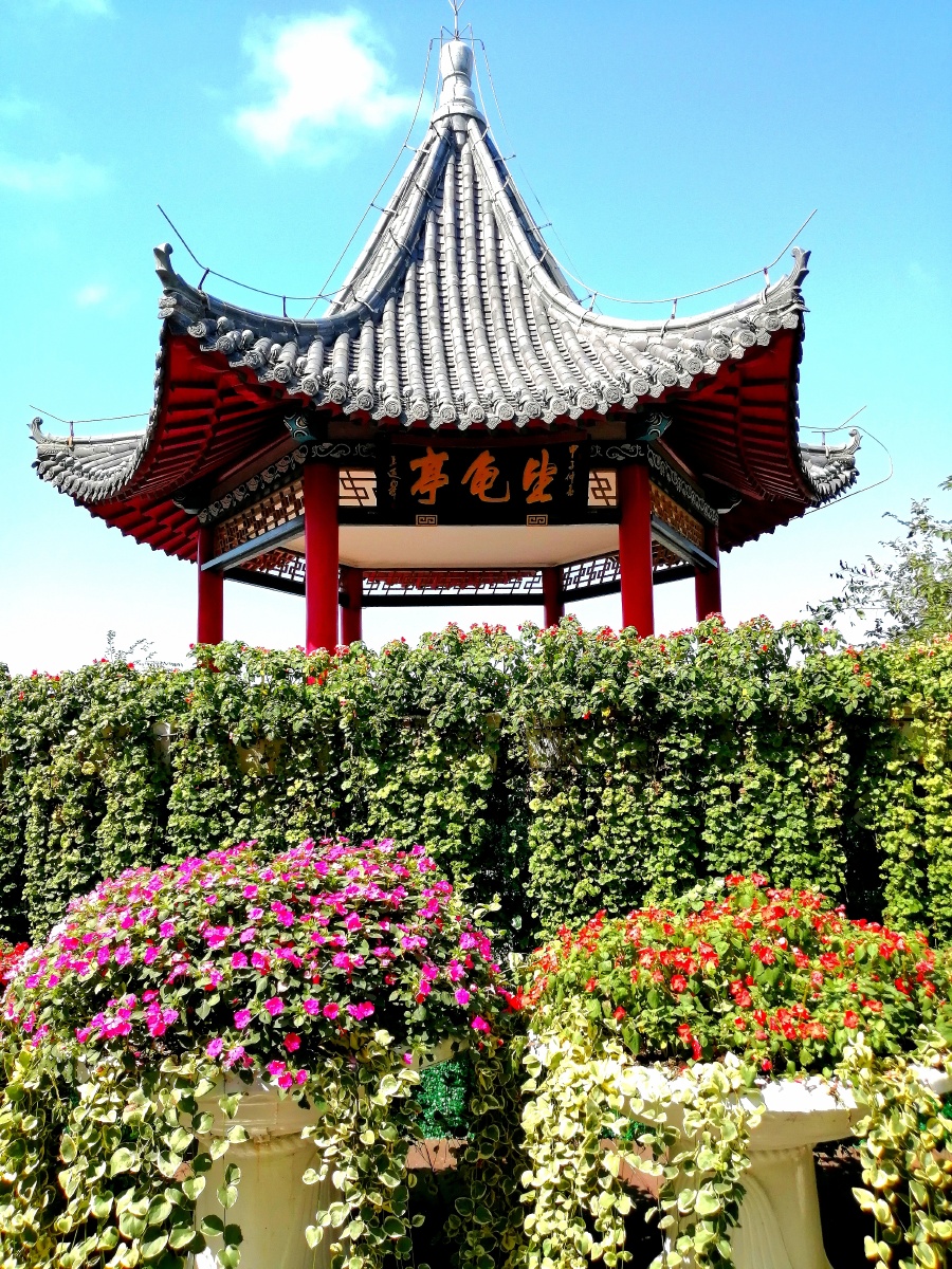 望龟亭61北戴河