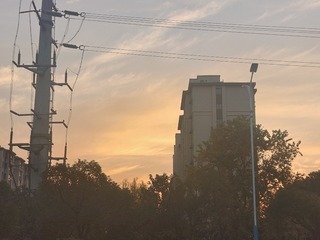 1000025701