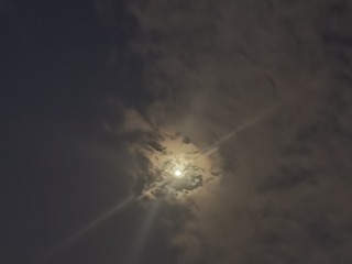 1000035928