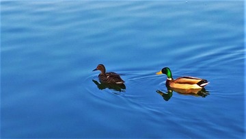 WP_20140322_17_16_13_Pro (3)