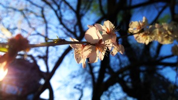 WP_20140322_16_57_54_Pro__highres (2)