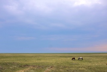 DDA88548-F70C-4540-98D9-C2375C34CE44/L0/001