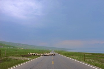 0733DAC0-2CE8-4F38-950E-9D09404EDA19/L0/001