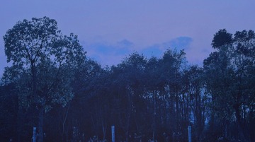 0FE59C77-D0DA-4699-AF4E-2BDE8E98442D/L0/001