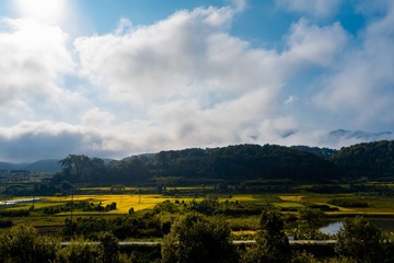 0F6553E1-130B-4399-87EE-6AE1F2C2CC6B/L0/001