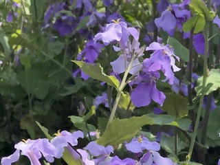 09056DBF-686C-4DDA-8379-9E8E5269FA18/L0/001