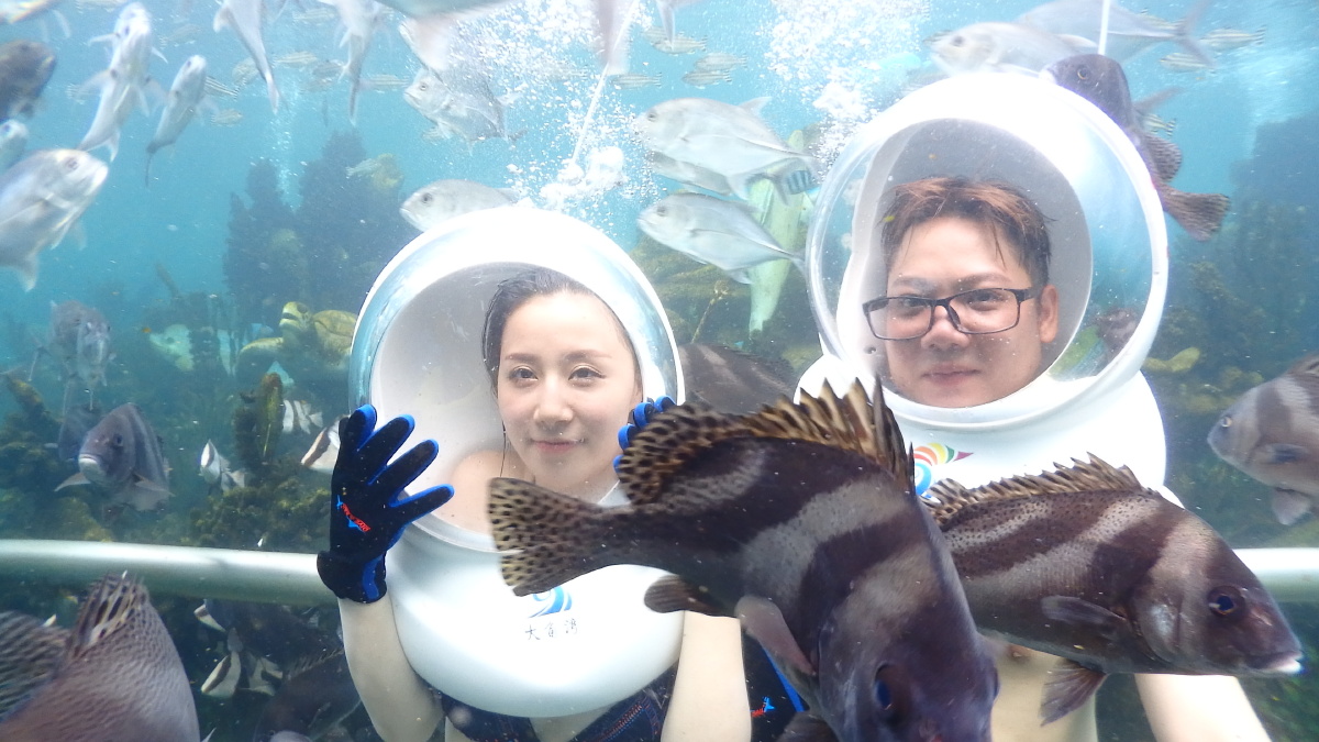 海陵岛大角湾海底漫步