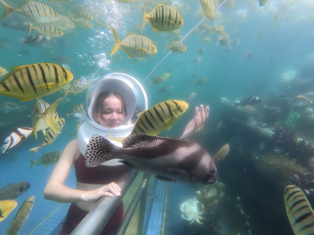 广东阳江海陵岛大角湾海底漫步