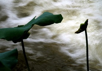 IMG_5047_