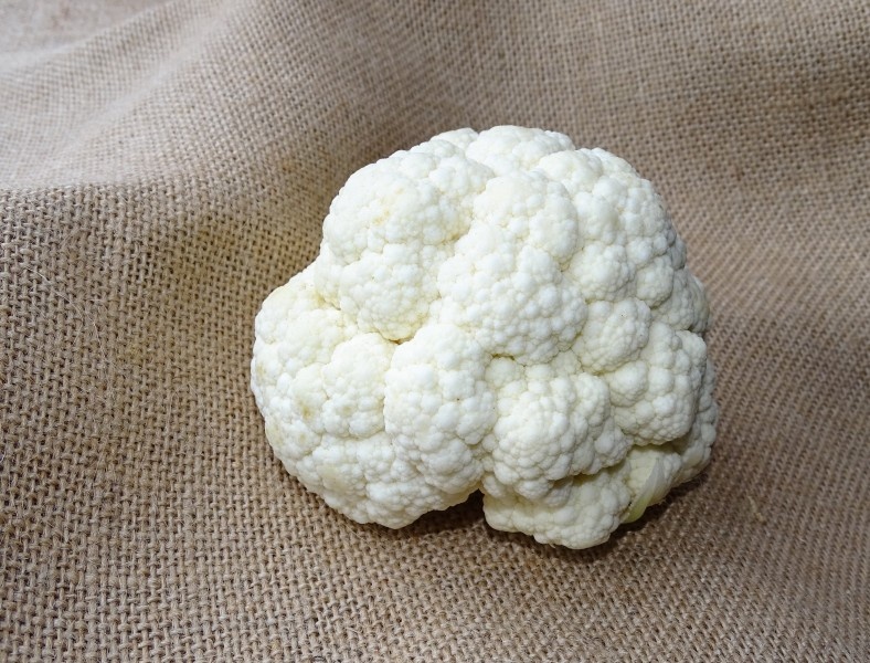 新鲜营养的白色菜花