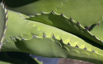 95423