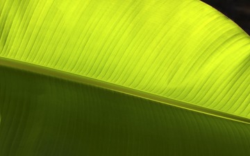95430