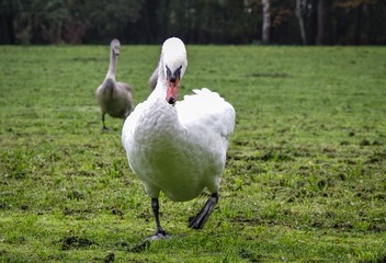 15384