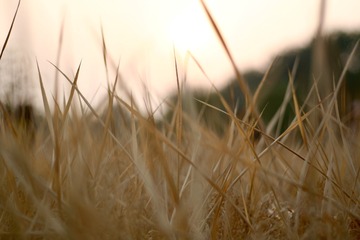 BE9C8AB3-0E49-4F43-A3B4-5FCDCDF87C7D/L0/001