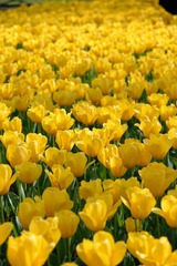 3AA769F5-FF59-4995-A6B1-053A76DA6A6D/L0/001