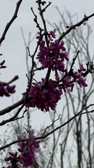010586CB-33CD-4E1F-9C05-FA6913B7EE76/L0/001