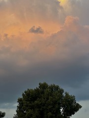 D06DC354-4705-4A44-923E-333659282B3E/L0/001