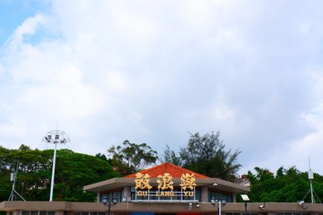 981772