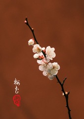 298E0FBD-C432-464D-AA62-C81B6D0DE6EA/L0/001