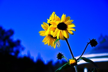 3A1DD71D-28D6-4CE4-A13E-595165DA24AA/L0/001
