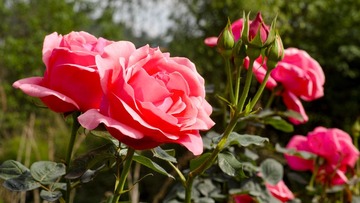 DP3M8371_