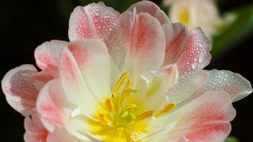 DP3M8475_