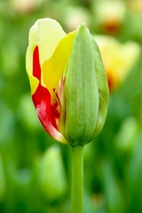 DP3M7965_