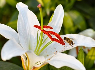 DP3M7649_