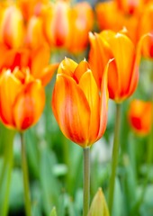 DP3M7969_