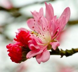 DP3M7958_