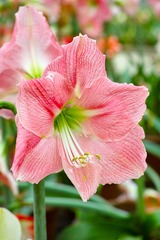 DP3M7285_