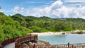 未标题_全景图1_