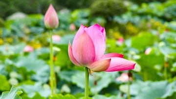 DP3M5579_