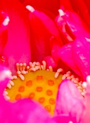 DP3M5587_