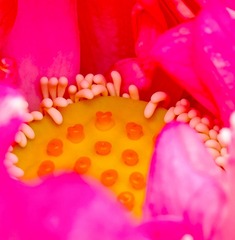 DP3M5587_