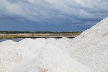 DP3M4721_