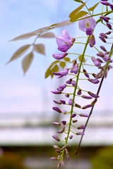 DP3M4984_